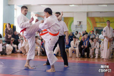 Внедрение в школах Дальнего Востока занятий по киокусинкай каратэ обсудили в правительстве Якутии /    Республика Саха (Якутия)