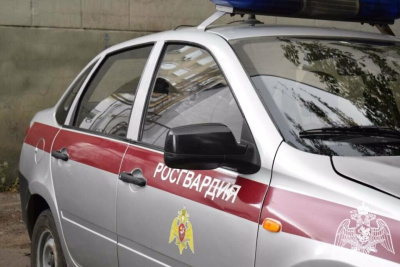 В Якутии росгвардейцы задержали дебоширов, нетрезвого водителя и похитителя велосипеда / ЯСИА   