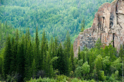 Народный депутат Якутии дал оценку мерам по охране лесов от пожаров /    Республика Саха (Якутия)