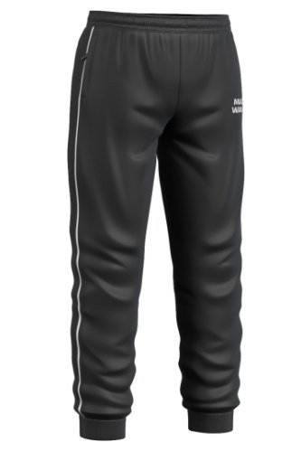 Мужские спортивные брюки Track pants