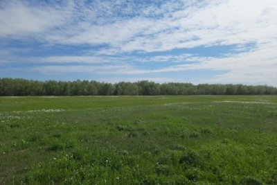 В России 51 фермерское хозяйство получит поддержку на развитие агротуристических проектов /    