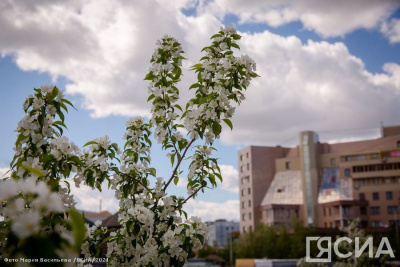 Якутия вошла в топ регионов-лидеров по благополучию граждан /    Республика Саха (Якутия)