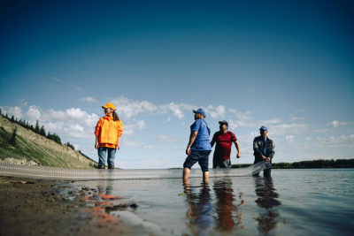 «Полиметалл» выпустил в Лену 40 000 мальков краснокнижного сибирского осетра / ЯСИА  Хангаласский Республика Саха (Якутия)