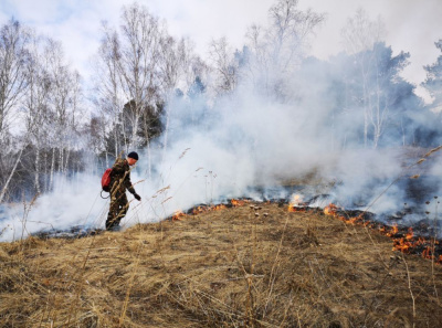 Внимани! Высокий уровень пожарной опасности в лесах /   Мирнинский Мирнинский