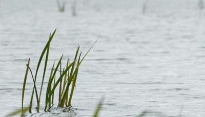 По факту безвестного исчезновения ребенка при купании в Сунтарском районе следователи проводят процессуальную проверку /   Сунтарский Республика Саха (Якутия)