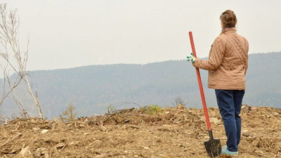 Заброшенные поля будет проще изымать /    