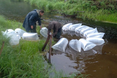 Вилюйское водохранилище в Якутии пополнилось ценной промысловой рыбой /   Вилюйский Республика Саха (Якутия)