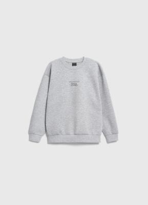 Свитшот с принтом для мальчиков, Серый