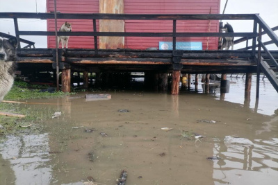 Население не пострадало, потерь сельхозживотных нет – замглавы Верхоянского района Якутии /   Верхоянский Республика Саха (Якутия)