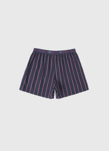 Трусы в полоску, Синий