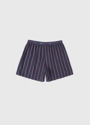 Трусы в полоску, Синий