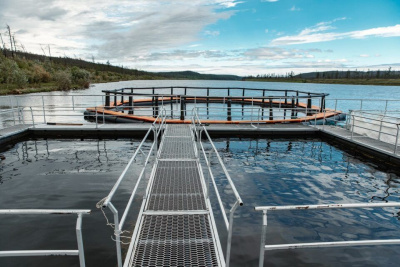 Компания «Таас-Юрях Нефтегазодобыча» выпустила в реки Якутии более 700 тысяч мальков пеляди /    Республика Саха (Якутия)