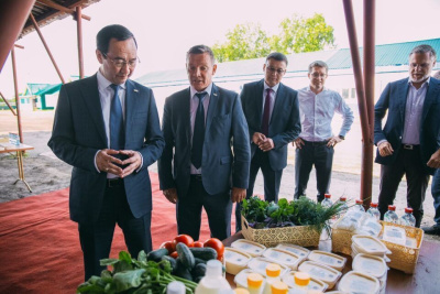 Глава Якутии посетил сельхозпредприятия Алданского района /   Алданский Республика Саха (Якутия)