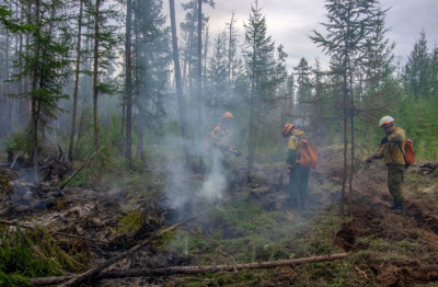 Лесной пожар ликвидирован /   Мирнинский Мирнинский
