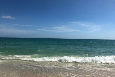 Можно ли уйти в отпуск без согласования с работодателем, рассказали в "Госуслугах" /    