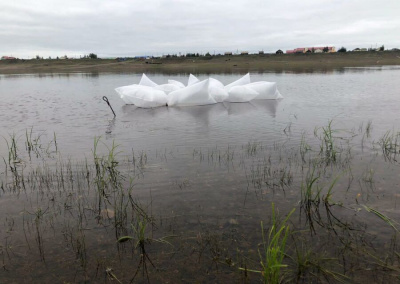 Порядка 70 тысяч мальков чира запустили в реку Вилюй в Якутии /    Республика Саха (Якутия)