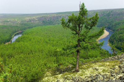 В районе отменен режим ЧС, но запреты действуют /   Мирнинский Мирнинский