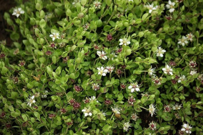 2 августа - Ильин день: традиции и приметы, что можно и нельзя делать /    