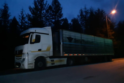 В Якутии пресекли незаконную перевозку баранов /    Республика Саха (Якутия)