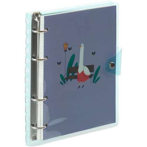 Тетрадь на кольцах в клетку MESHU "Quack-Quack" А5 80 л, с пластиковой обложкой