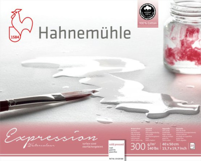 Альбом-склейка для акварели Hahnemuhle "Expression" 40х50 с/з 20 л 300 г 100% хлопок