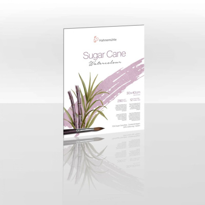 Альбом-склейка для акварели Hahnemuhle "SugarCane" 30х40 см 12 л 290 г, среднее зерно