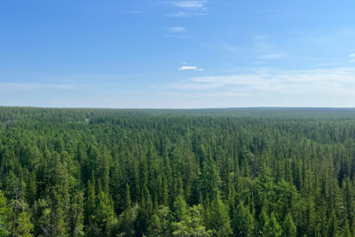 Три причины потери в лесу назвал спасатель из Якутии / Нарыйа Пахомова   