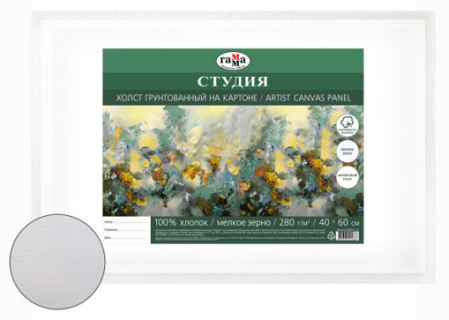 Холст грунтованный на картоне Гамма "Студия" 40х60 см