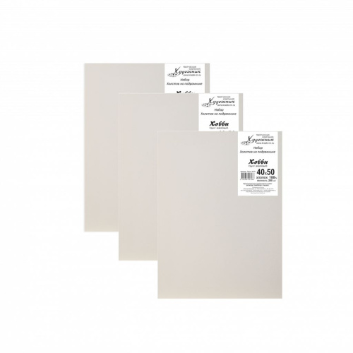 Набор холстов на подрамнике "Хобби" 3 шт 40х50 см (хлопок 100%)