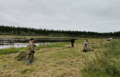Жителям села Боронук Верхоянского улуса коммунальщики помогли заготовить сено /   Верхоянский 
