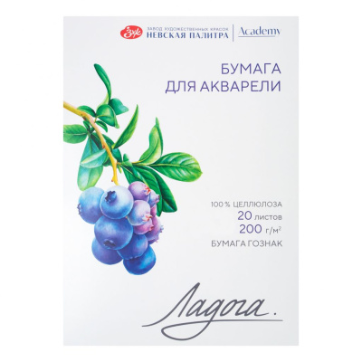 Папка для акварели "Ладога" А2 20 л 200 г, 100% целлюлоза, среднее зерно