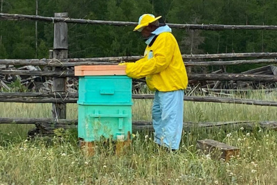 Устойчивое развитие села в Якутии: Мегино-Кангаласский и Амгинский районы /   Мегино-Кангаласский Республика Саха (Якутия)