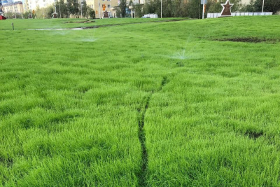 В Якутске на площади Победы по первым всходам газона проехались на велосипеде / ЯСИА   