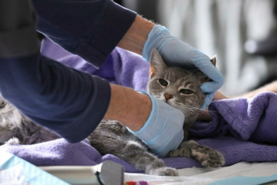 Этот день в календаре. 31 августа /    