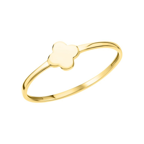 Золотое кольцо