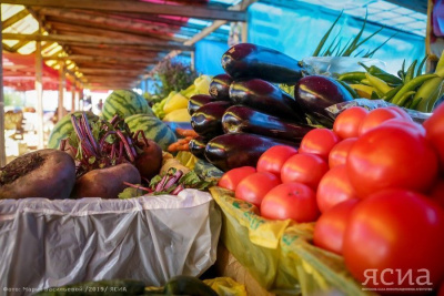 Овощная ярмарка «Урожай-2022» пройдёт в Якутске /  Якутск Якутск Республика Саха (Якутия)