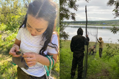 Впервые в Охотском Перевозе провели кольцевание птиц / ЯСИА   