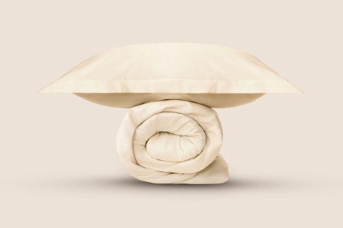 Комплект Постельное белье 2х-сп. Сливочный