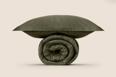 Комплект Постельное белье 2х-сп. Нефритовый