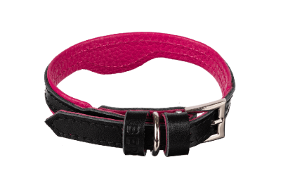 Кожаный ошейник для кошек и маленьких собак Black-Viva Magenta