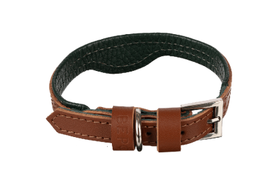 Кожаный ошейник для кошек и маленьких собак Green-Brown