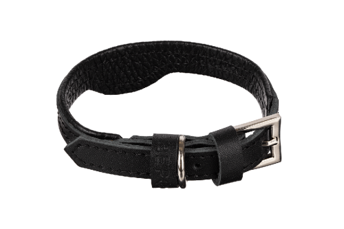 Кожаный ошейник для кошек и маленьких собак Black