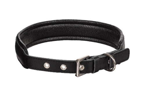 Кожаный ошейник Black XL