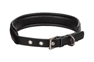 Кожаный ошейник Black XL