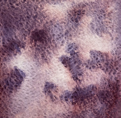 Акварель "Handy" кювета 2 мл, Черничный щербет