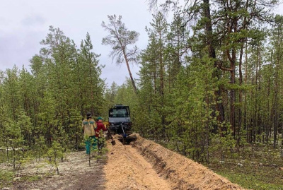 В лесах Якутии создают противопожарные полосы /    Республика Саха (Якутия)