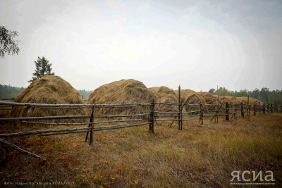 В Нюрбинском районе Якутии нашли пропавшего подростка / ЯСИА   