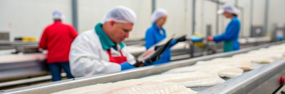 Минтай взят под контроль после исследования Роскачества /    