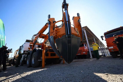 Якутск начнут озеленять взрослыми деревьями / ЯСИА   