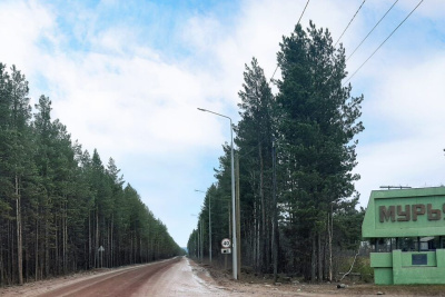 Уличное освещение провели в селе Новая Мурья в рамках нацпроекта /    